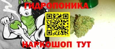 бошки Пугачёв