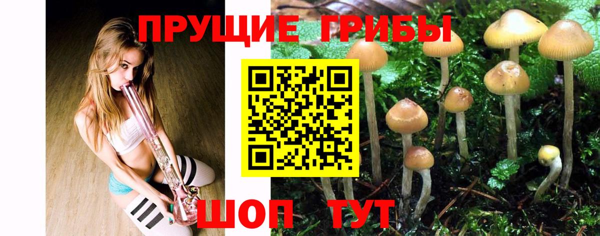 Галлюциногенные грибы мицелий  Галлюциногенные грибы Psilocybine cubensis  Вход с VPN  Тамбов 
